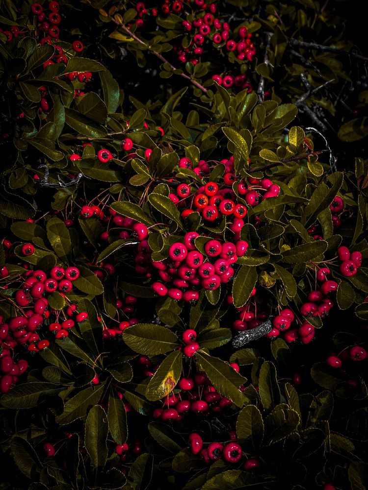 Photograph by Мария Акимова