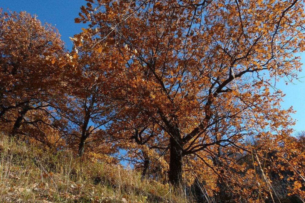 Photograph by Александр Кизим