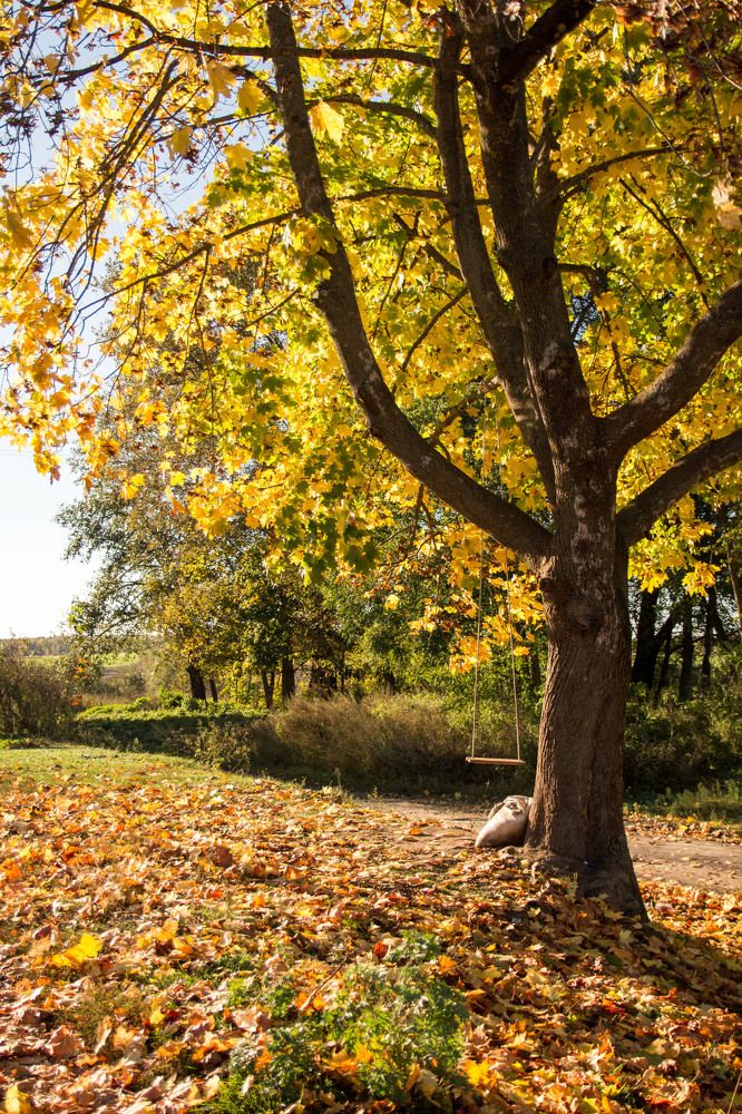 Photograph by Елена