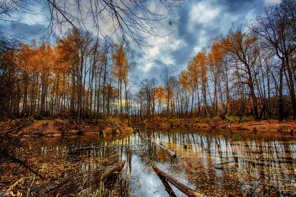 Photograph by Сундеев Дмитрий