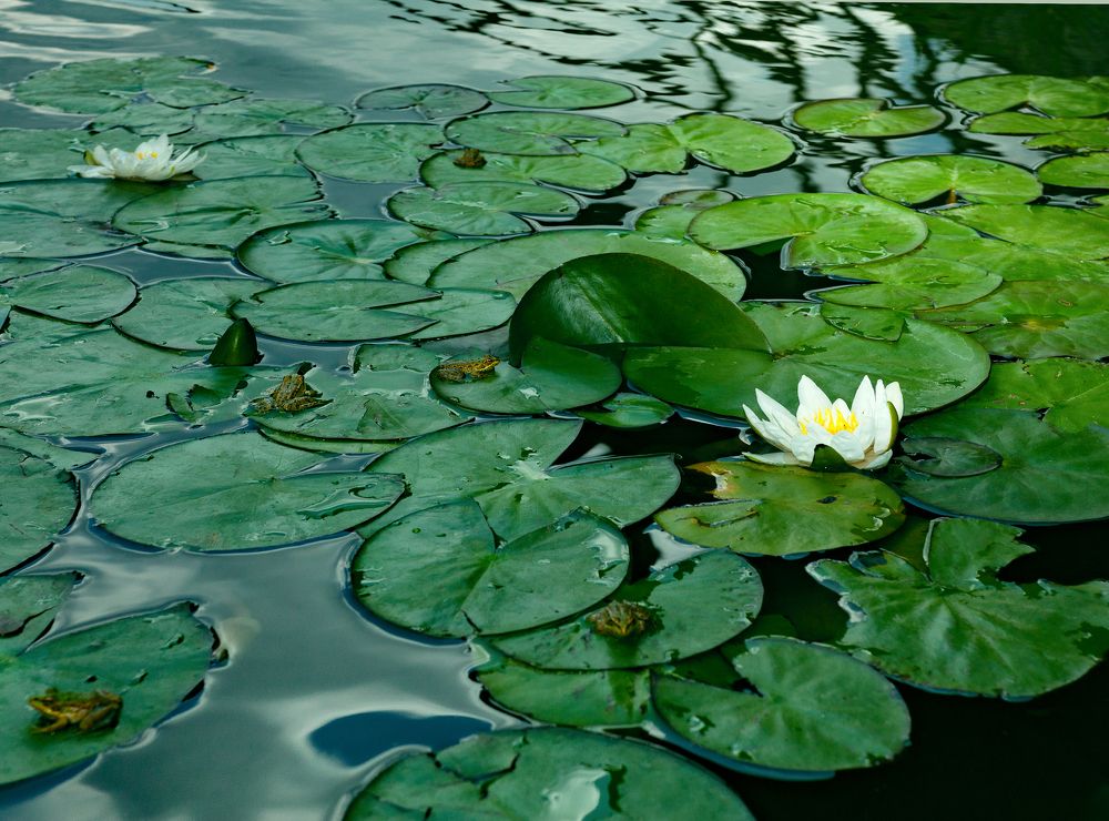 Photograph by Виктор Холодов