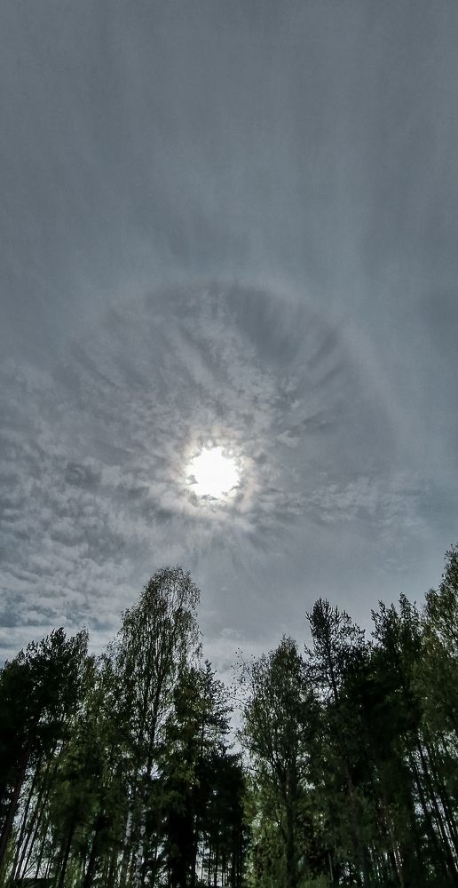 Photograph by Алёна Губинская