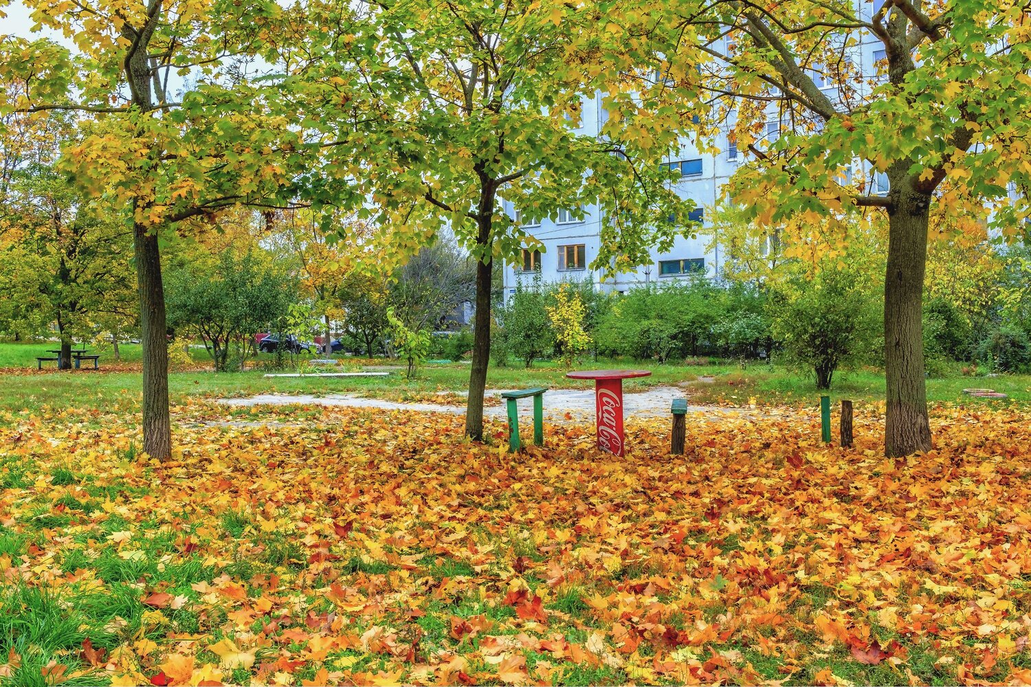 Во дворе осень..