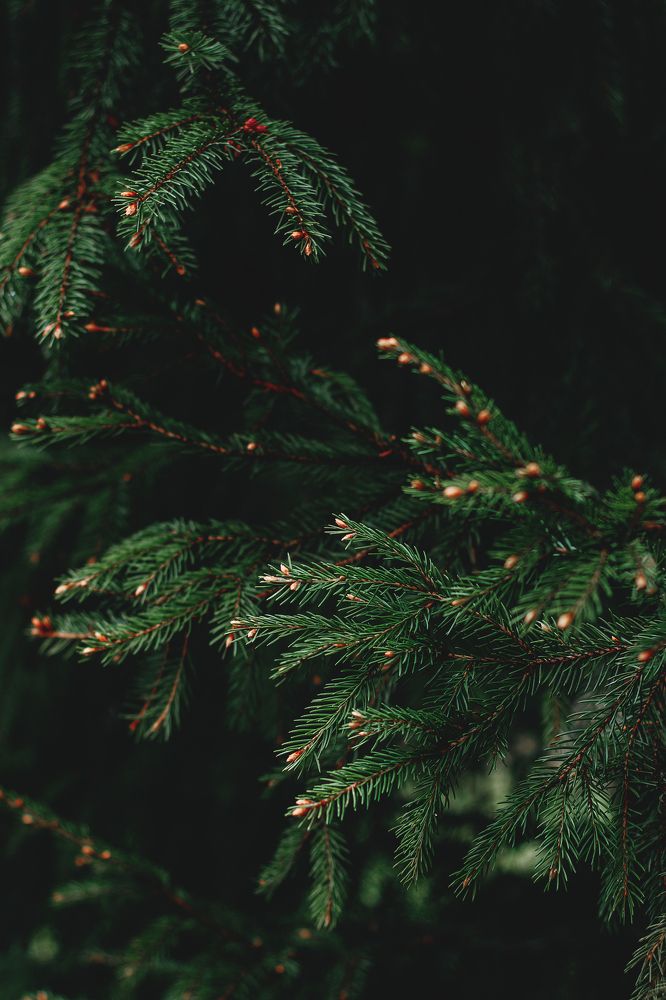 Photograph by Татьяна