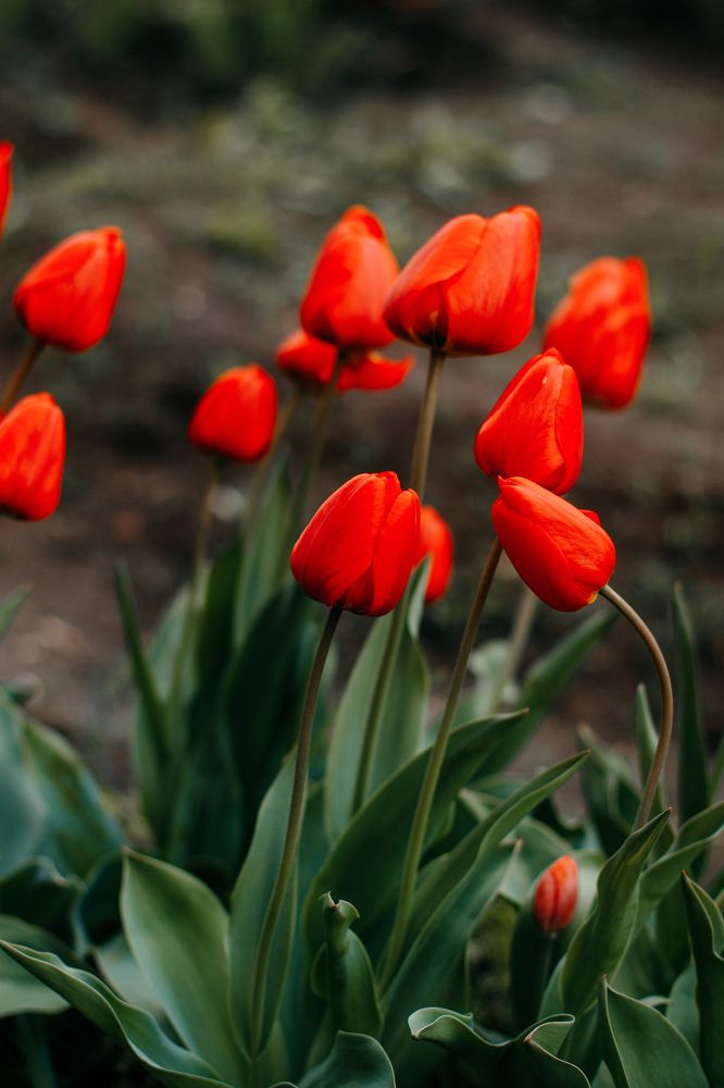 Photograph by Татьяна