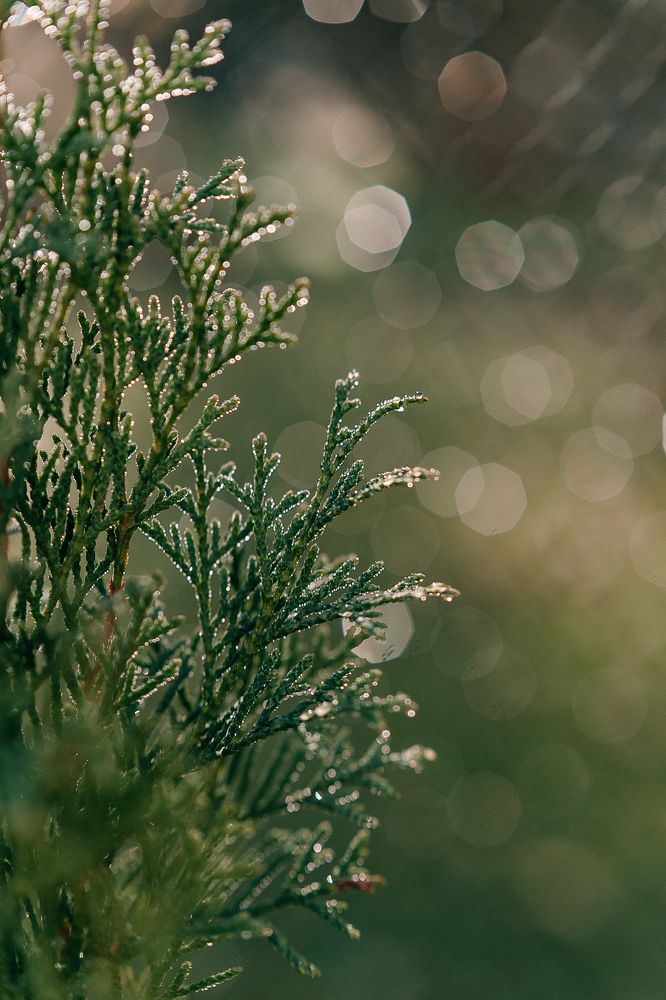 Photograph by Оксана Печкурова