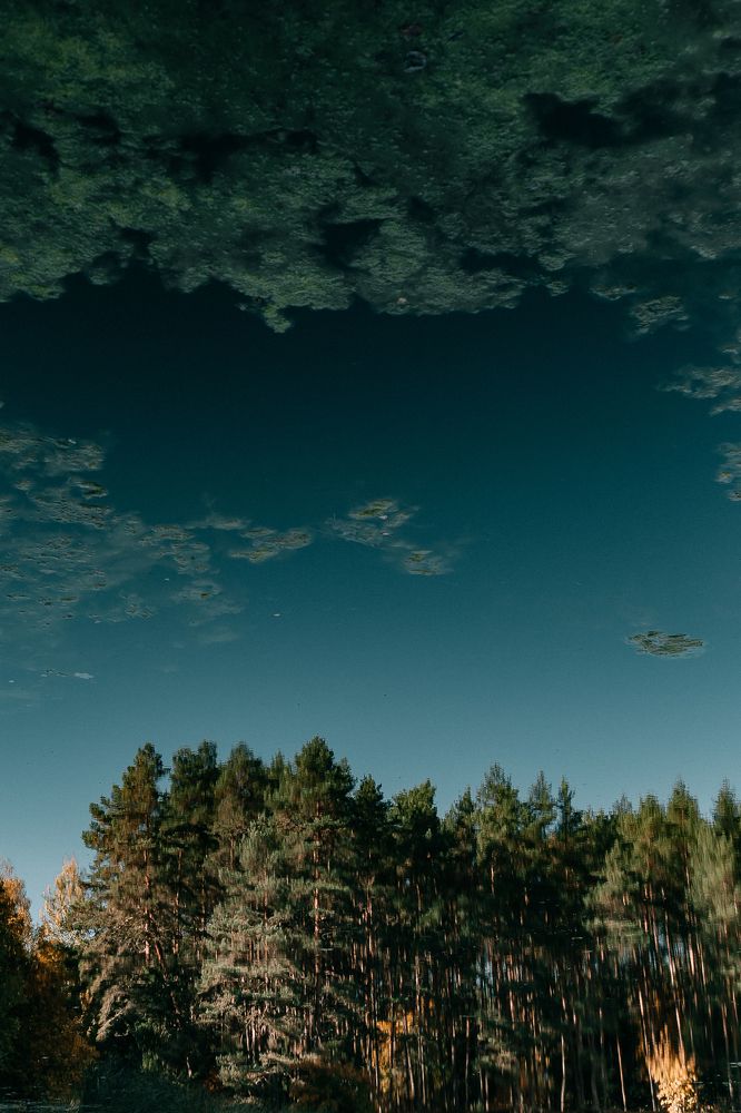 Фотография автора Оксана Печкурова