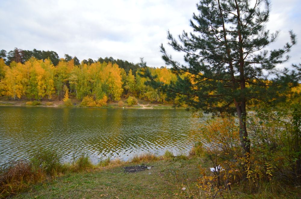 Фотография автора Клавдия Васильева