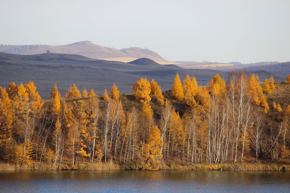Photograph by Наталья Юрова