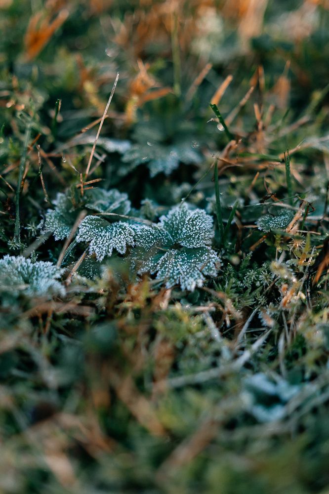 Photograph by Оксана Печкурова