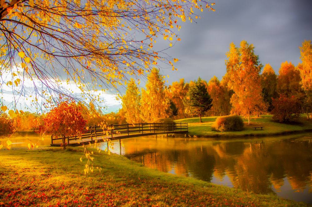 Photograph by андрей зорин