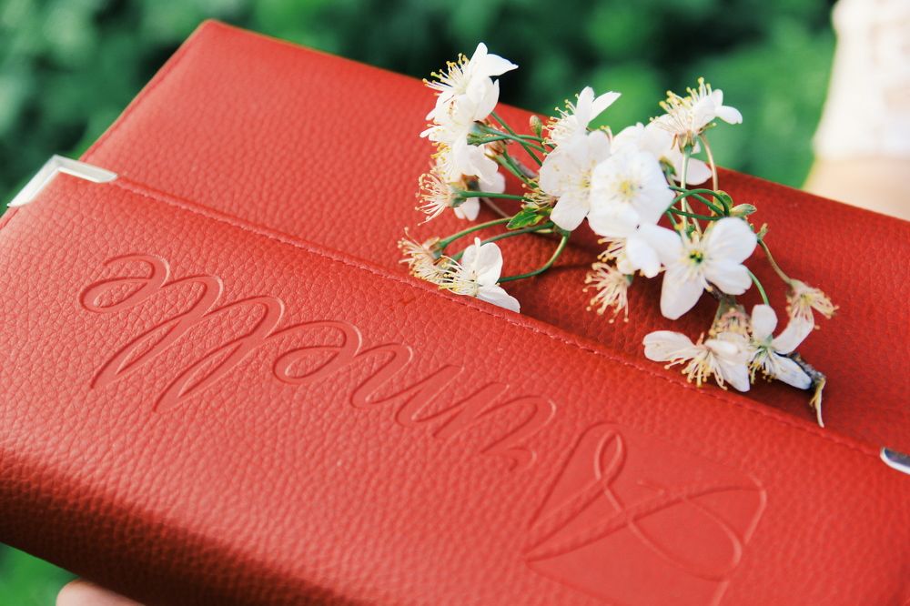 Photograph by Татьяна Погребная