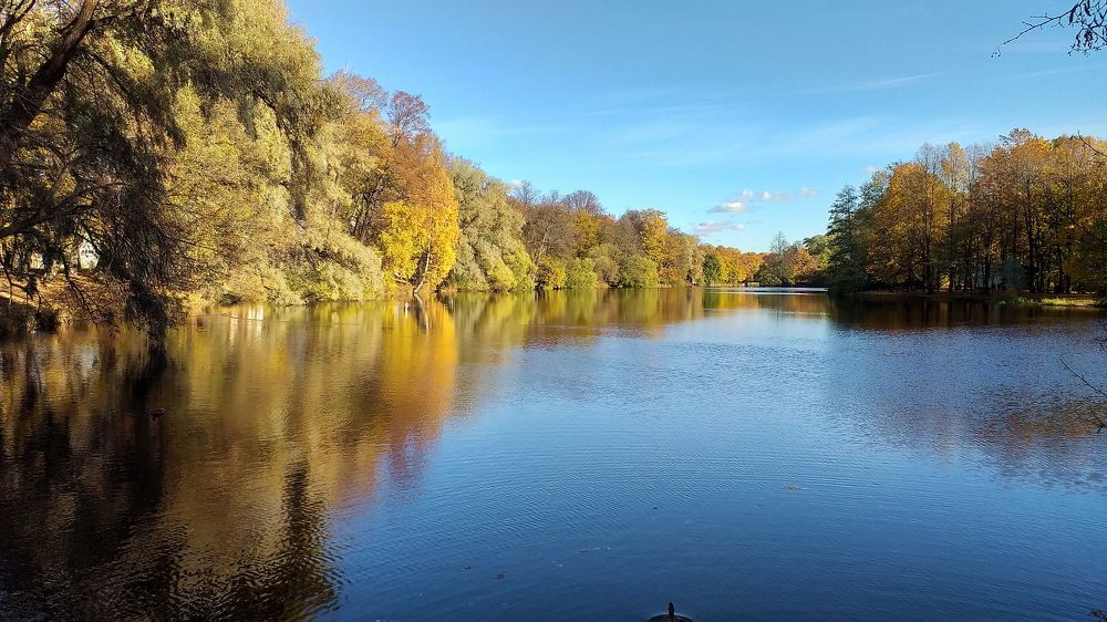 Photograph by Евгений Устинов