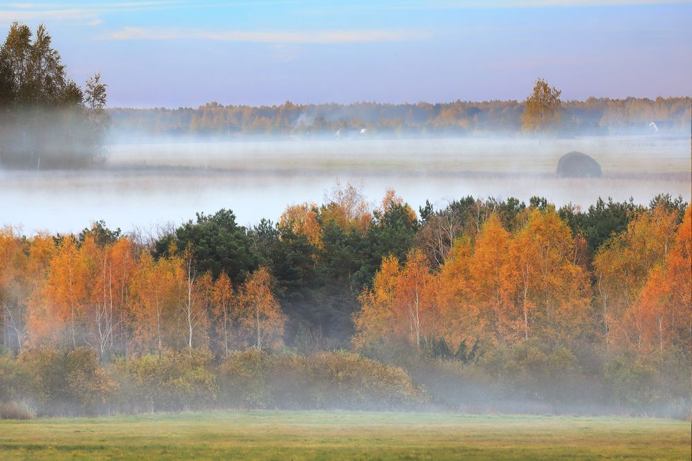 Photograph by Николай Протасеня