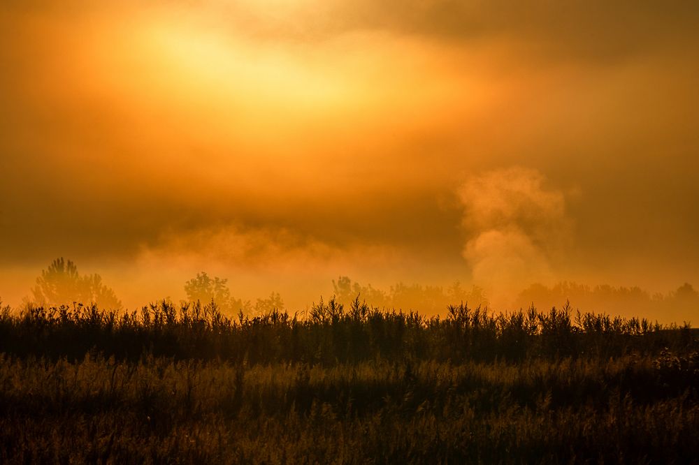 Photograph by Руслан Лесков