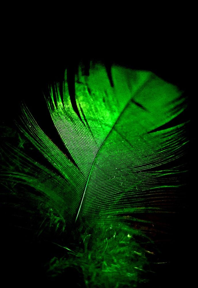 Photograph by Ева К