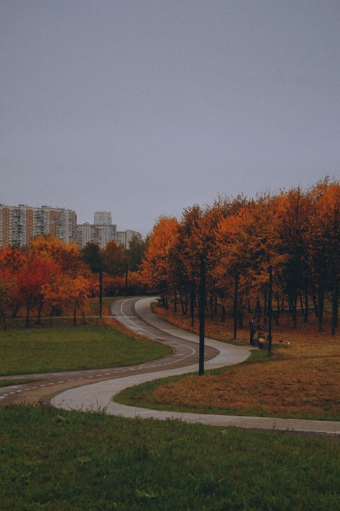 Photograph by Svetlana Karmova