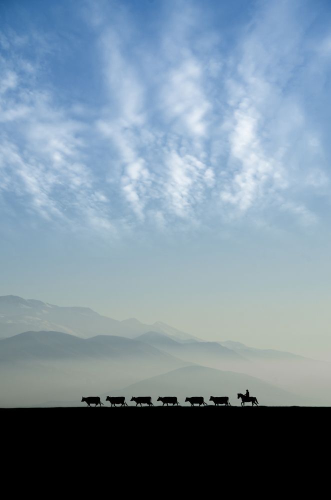 Photograph by Selcuk Ozdil