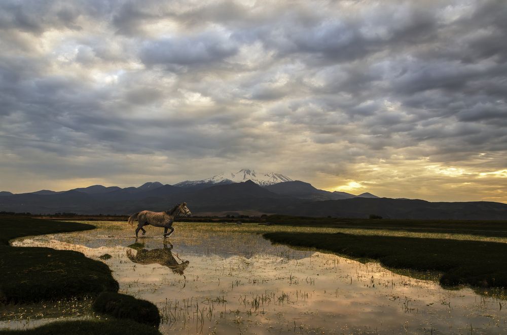 Photograph by Selcuk Ozdil