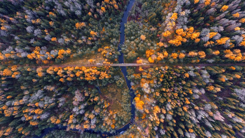 Photograph by Третьякова Анастасия