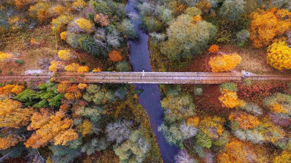 Photograph by Третьякова Анастасия