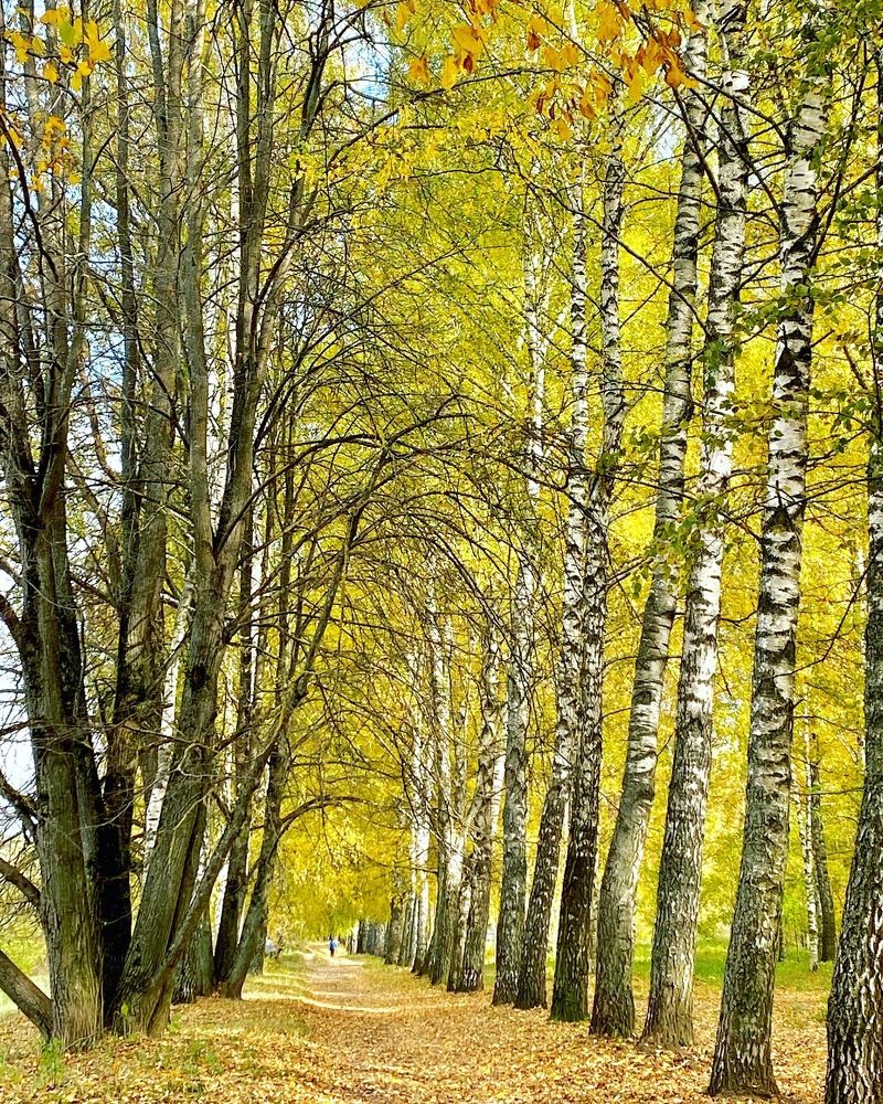 Photograph by Дарья Щедрова