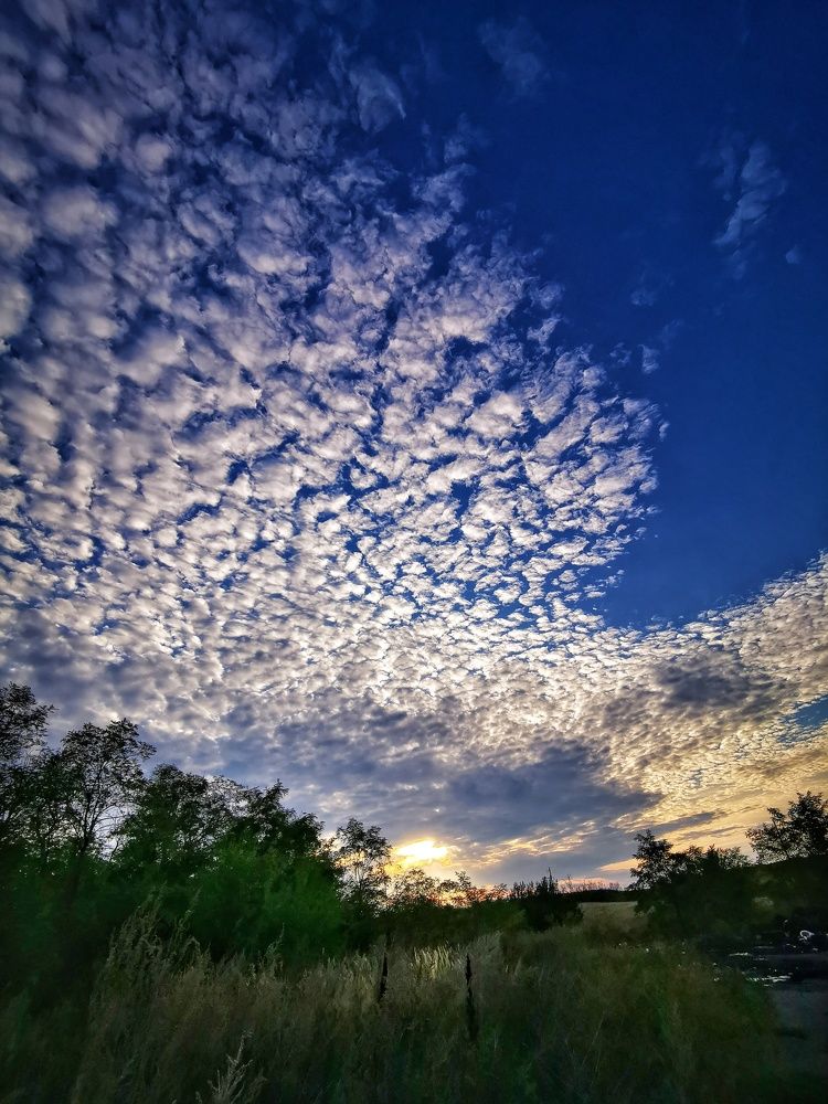 Photograph by Елена Артёменко