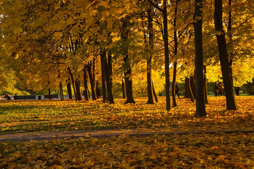 Photograph by Анна Цветковская