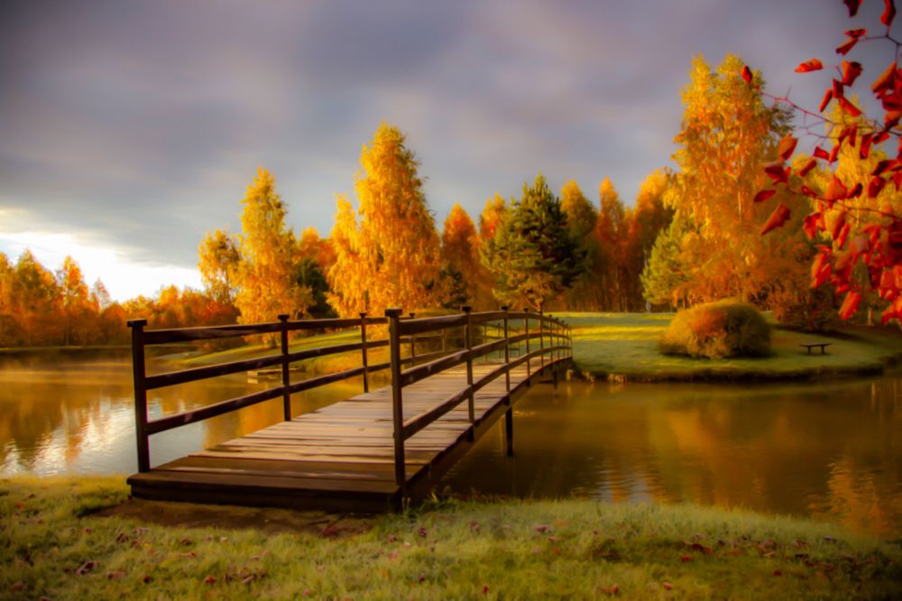 Photograph by андрей зорин