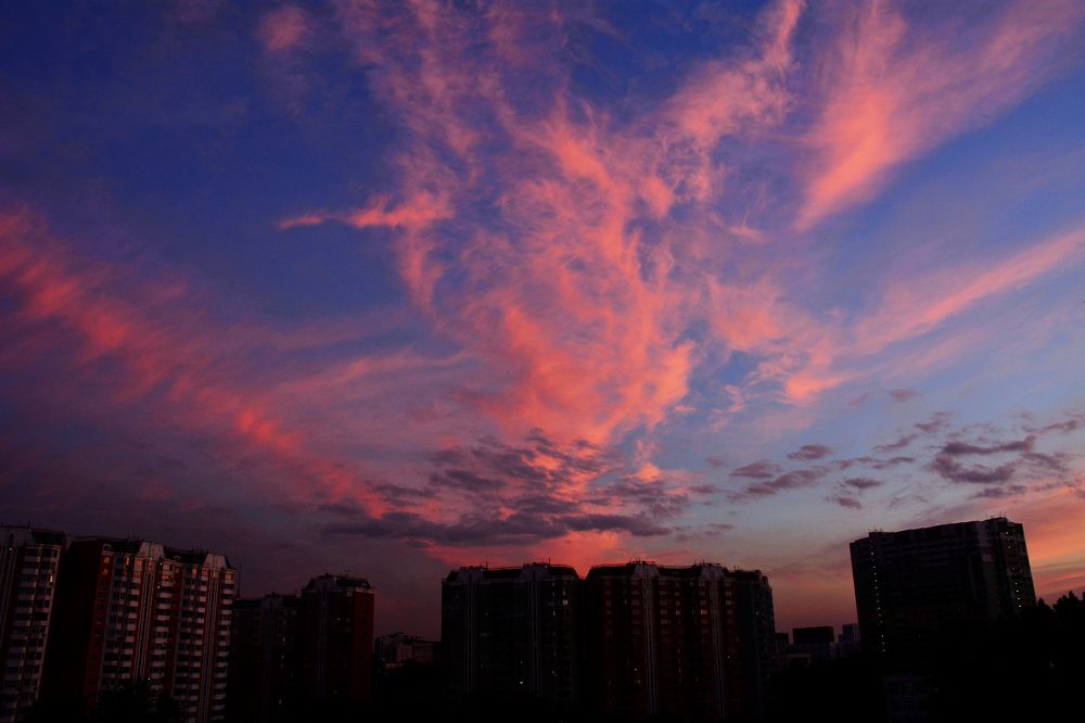Photograph by 