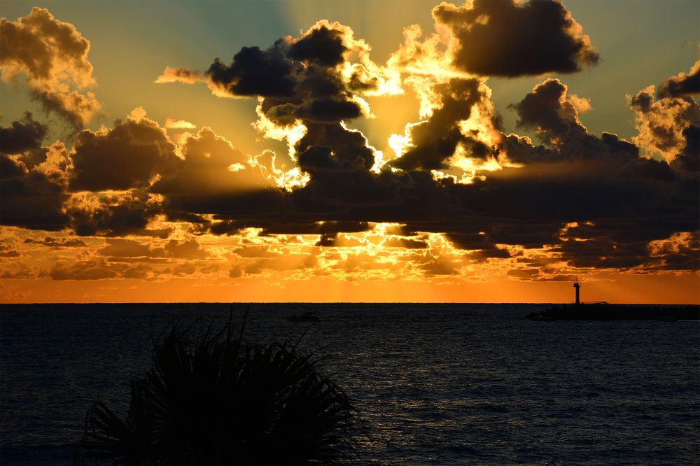 Photograph by 