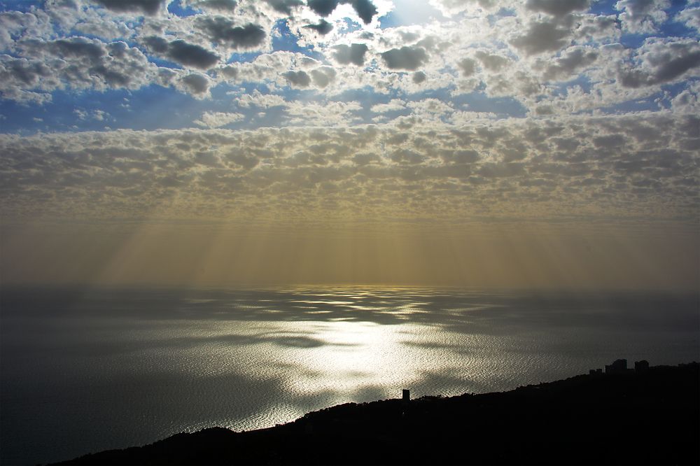 Photograph by 