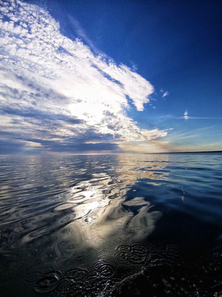 Photograph by Елена Артёменко