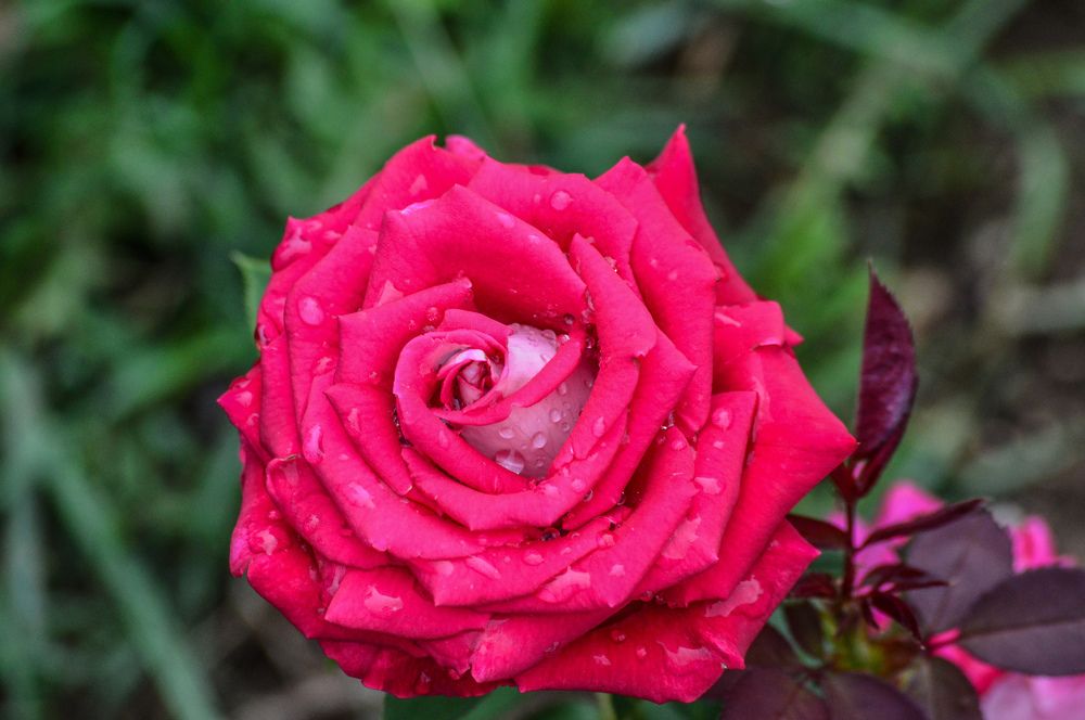 Photograph by Екатерина Казарцева