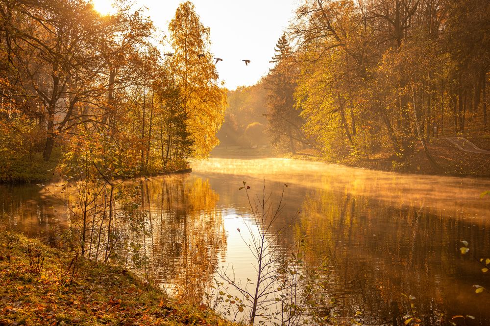 Осеннее утро
