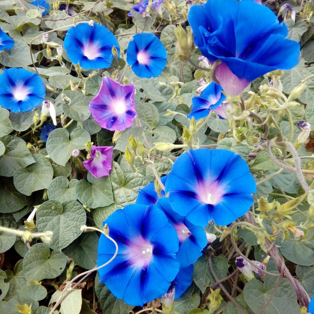 Photograph by Ольга Цицилина