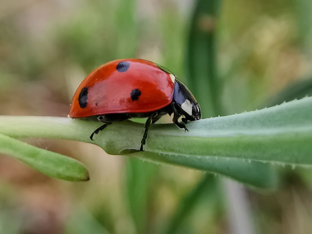 Photograph by Ana Puzar