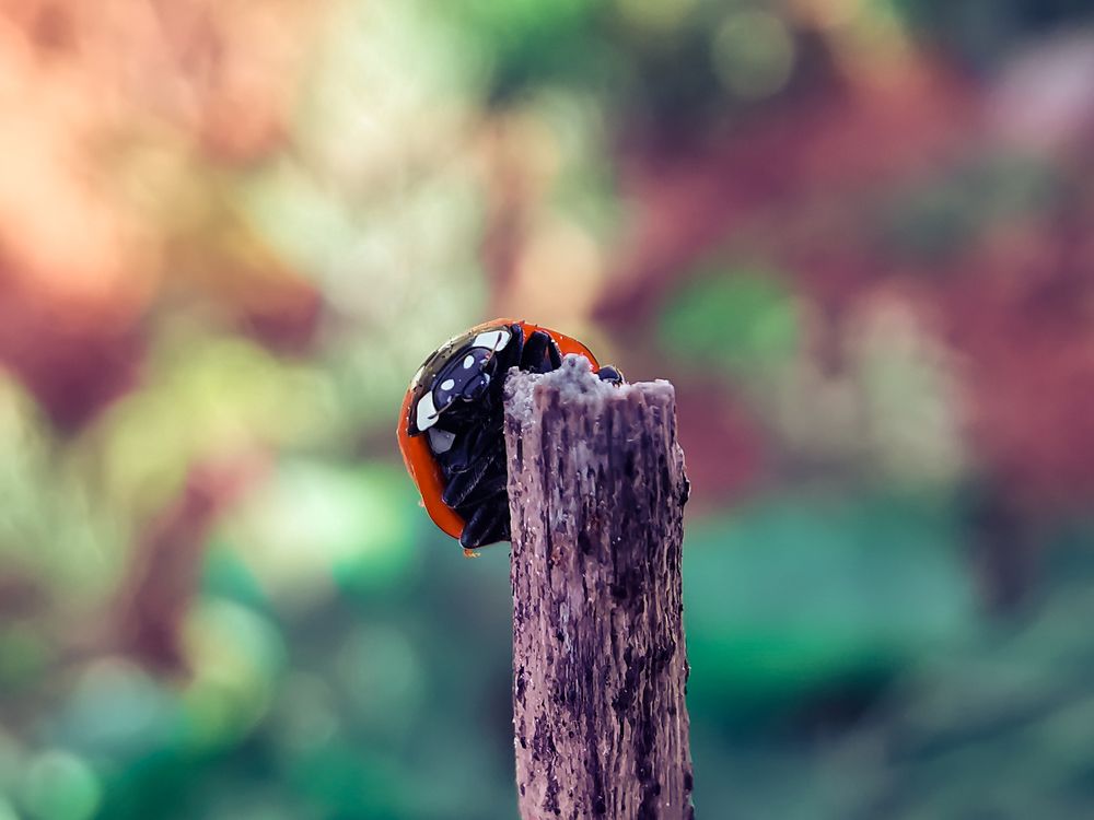 Photograph by Ana Puzar