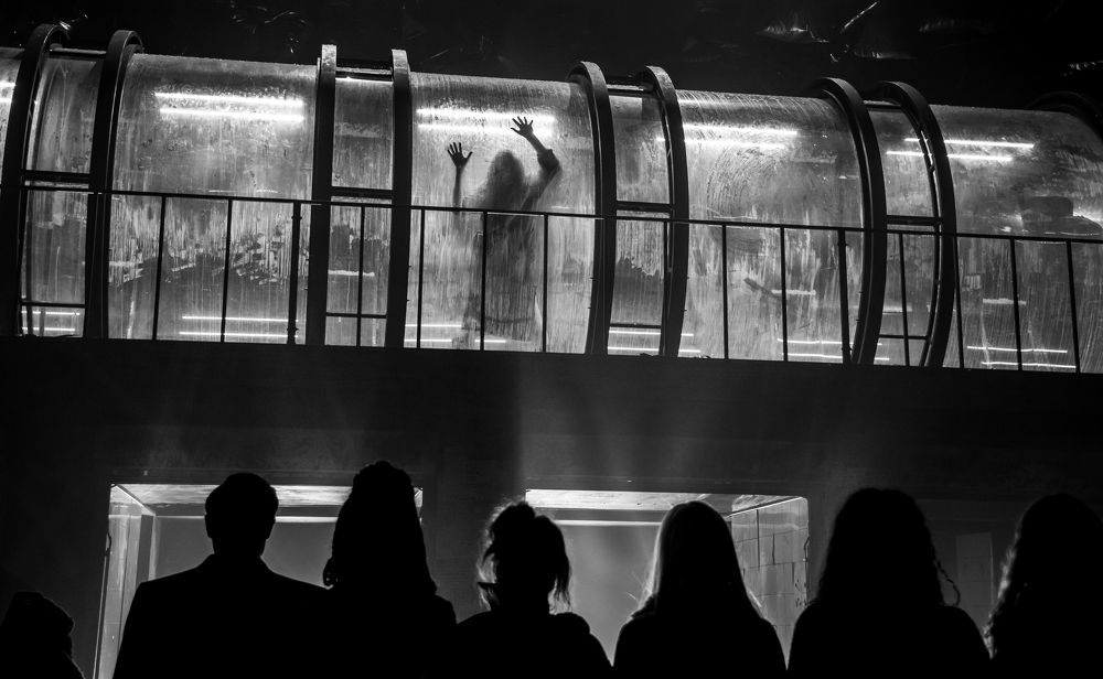 Photograph by Лебедева Наталия