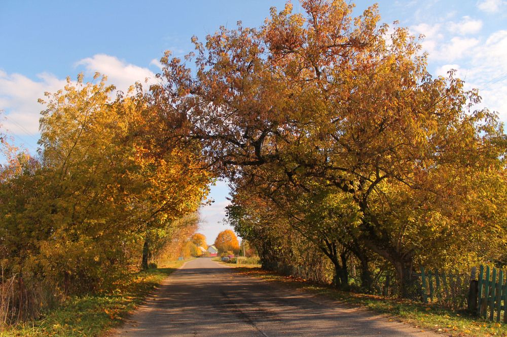 Осень в родной деревне