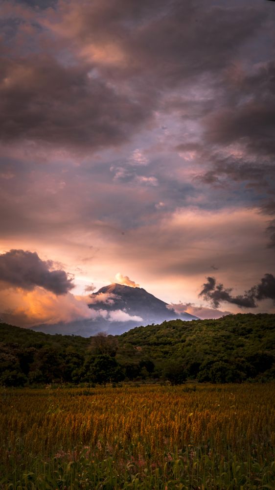 Field, montains and clouds