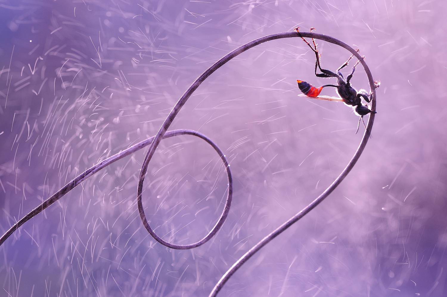 Between sparks of water