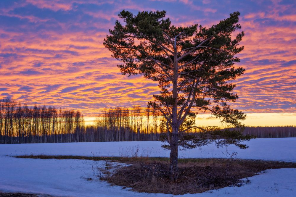 Photograph by Светлана Ващенко