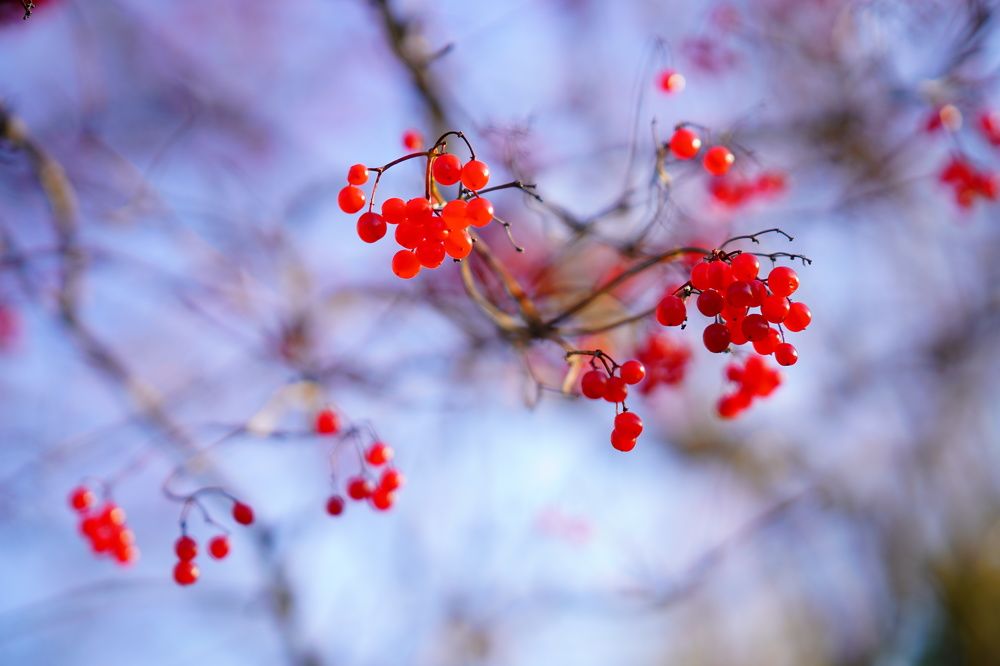 Photograph by Галина Сероштан