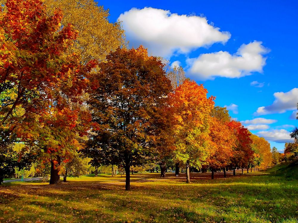 Photograph by Игорь Чеботарёв