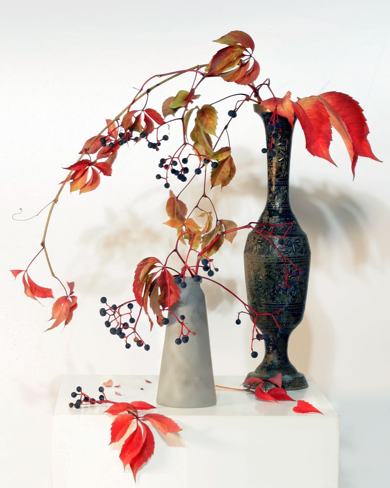 Photograph by Ольга Заболотская