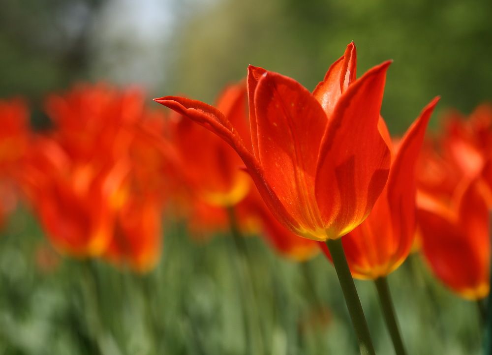 Photograph by Юрий Чистяков