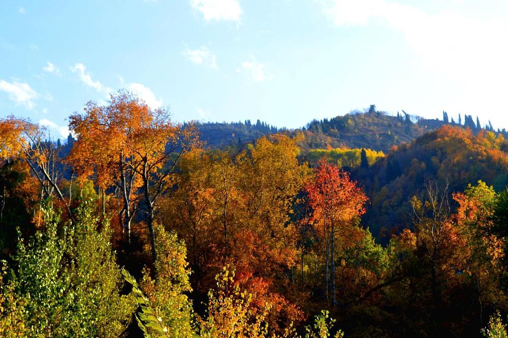 Photograph by Виктор Репников