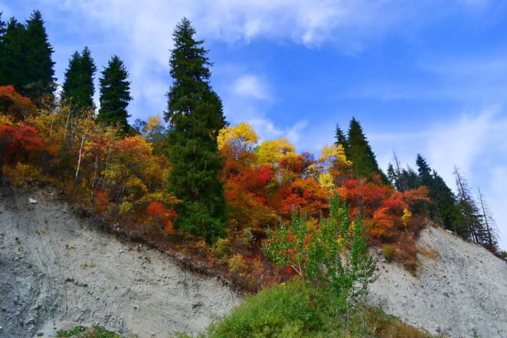 Photograph by Виктор Репников