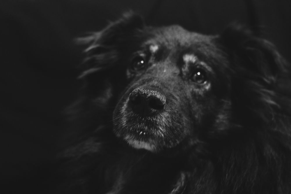 Photograph by Дарья